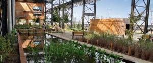 L’eau-à-l’ère-librebr-20-PROJETS