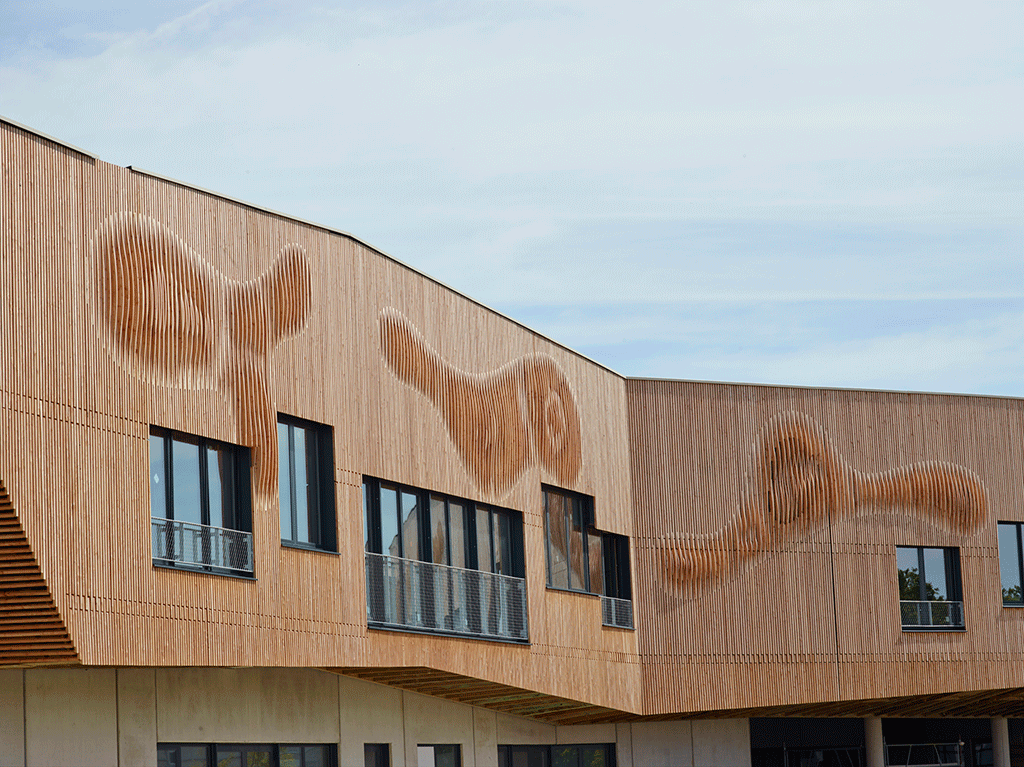 Tasseaux-Meleze--Groupe-scolaire-d--e-la-Pelousière-49.-Architecte-Atelier-de-la-maison-rouge-45-et-constructeur-LCA---PIVETEAUBOIS-(6)