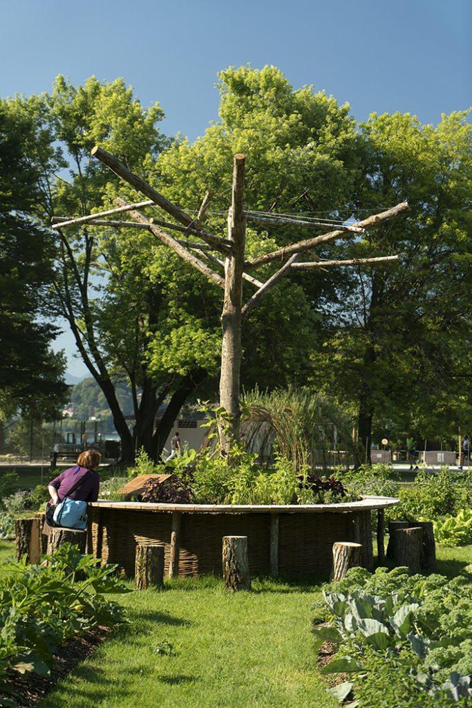 Un potager dans la ville, collectif Cultures Urbaines © Marc Domage