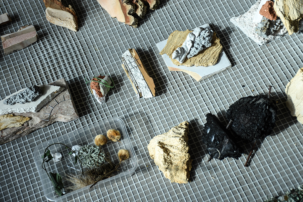 Atelier de Lex Pott et Nomess portant sur le design inspiré d'éléments naturels ©CIRECA_Domaine de Boisbuchet