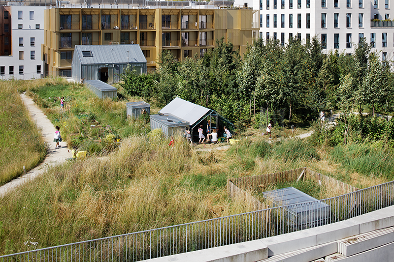 Groupe scolaire de la biodiversité et gymnase à Boulogne Billancourt (92) ©Takuji Shimmura