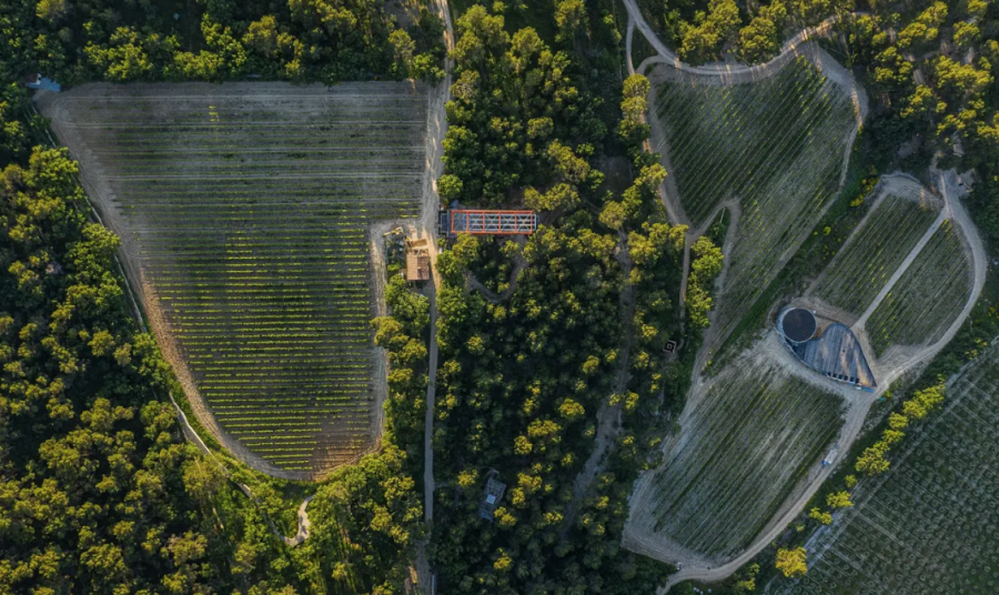 Richard Rogers’ Drawing Gallery, Château La Coste, 2020 © Photographer We Are Contents Stéphane Aboudaram